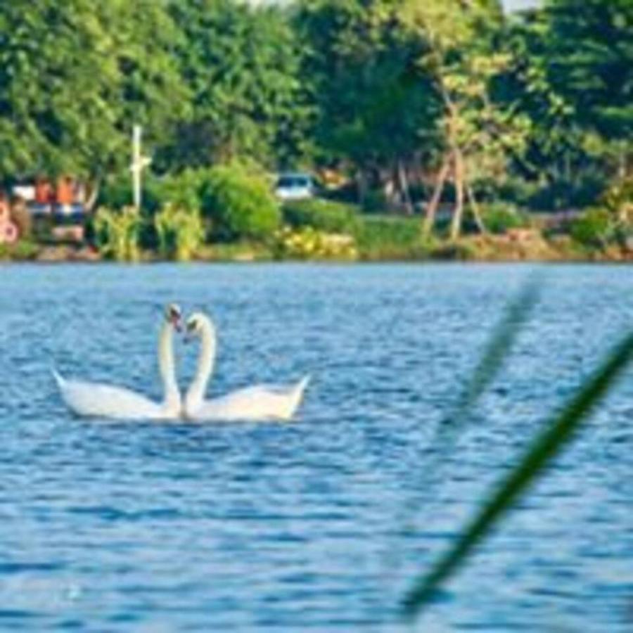 Sue Homestay Ecopark Hung Yen Εξωτερικό φωτογραφία